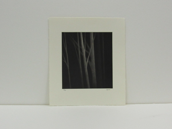 Incandescense II by Robert Kipniss, Image 1.