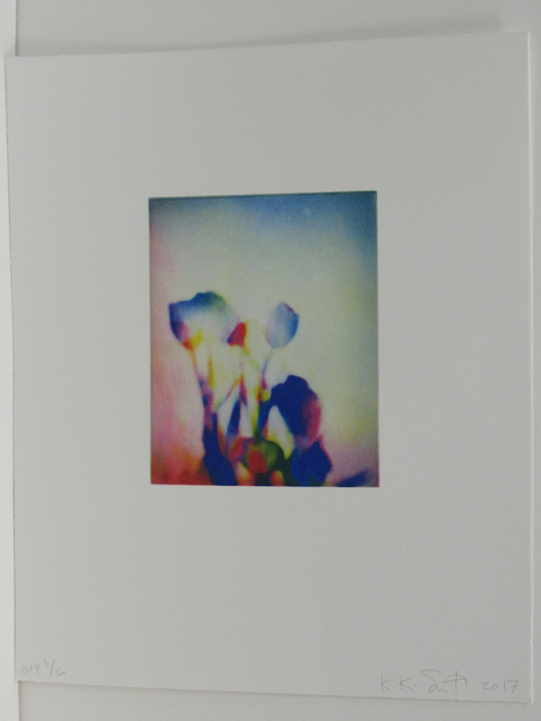Tulips by Kiki Smith, Image 1.
