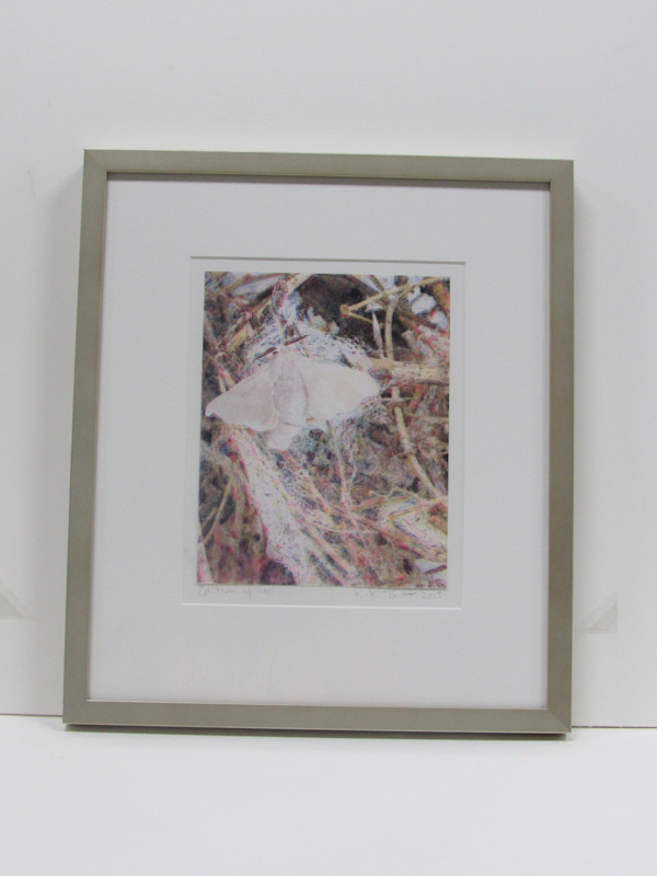 Silk Moth by Kiki Smith, Image 1.