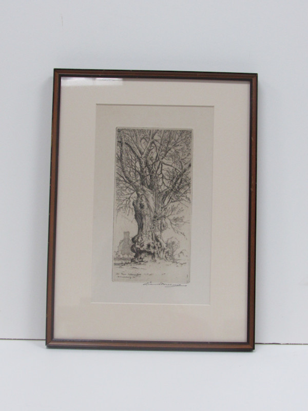 Old Paper Mulberry Tree, Williamsburg, VA by Leon Pescheret