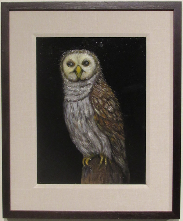 Owl by Joyce Koskenmaki
