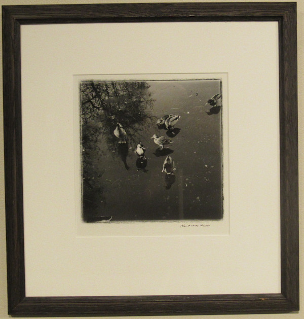 Untitled (Ducks on a Pond) by John Murray Mason, Image 1.