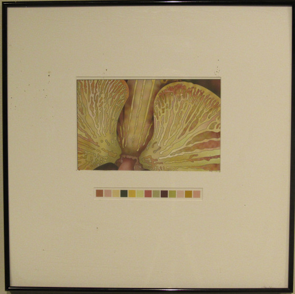 Untitled, (Sea Fan with color grid), Image 1.