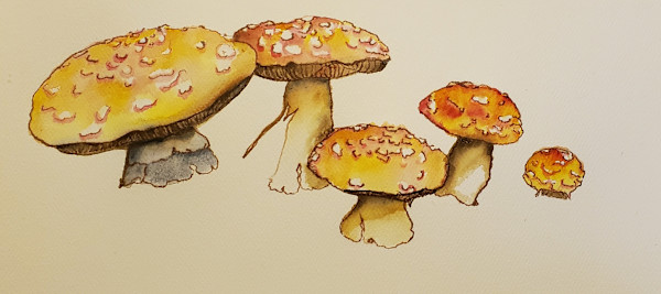 Mushroom Fairy Circle by Jan Somers