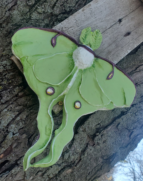 Luna Moth by Jan Somers