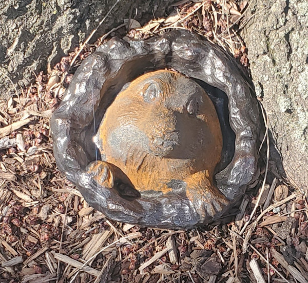 Ground Hog Willie by Jan Somers, Image 1.