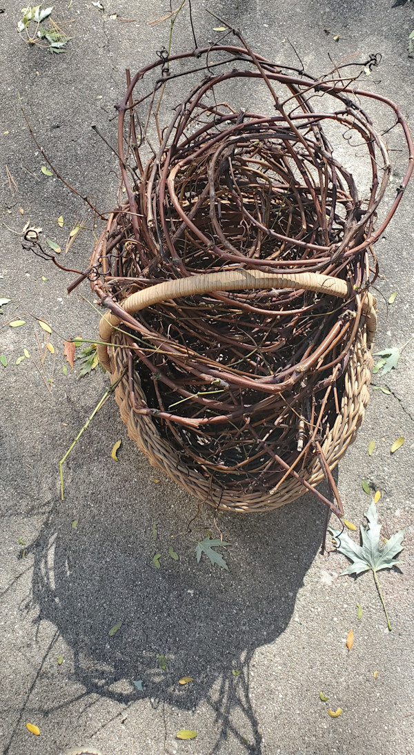 Grapevine Basket by Jan Somers
