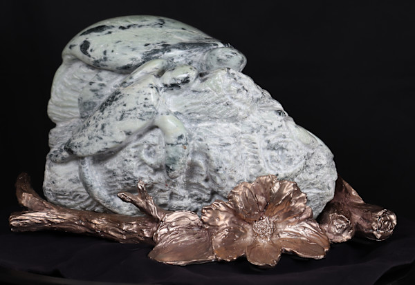 Turtles on a Log by Jan Somers