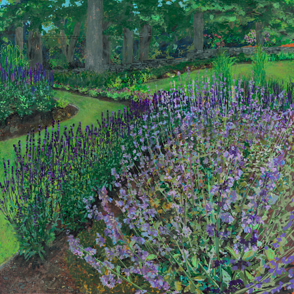 Catnip in June by Erica Driver, Image 7.