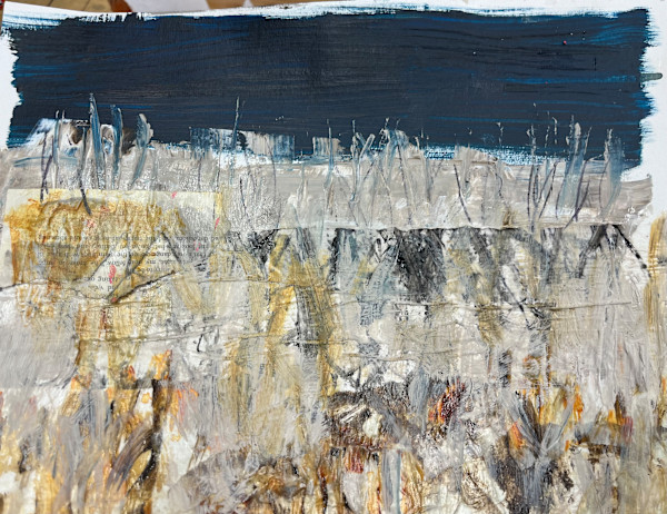 fallow fields by Patricia Coughlin