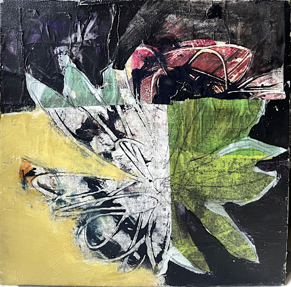 Through a Lens Darkly by Patricia Coughlin