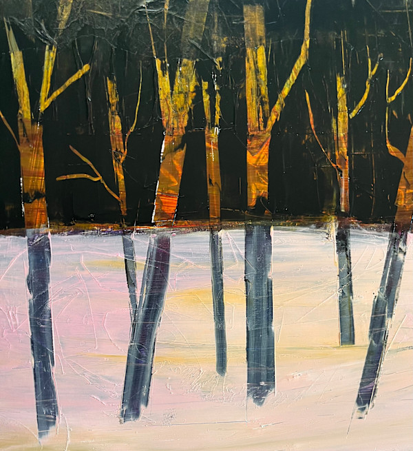 trees in snow by Patricia Coughlin