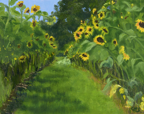 Little Path of Sunshine by CJ Schwarz