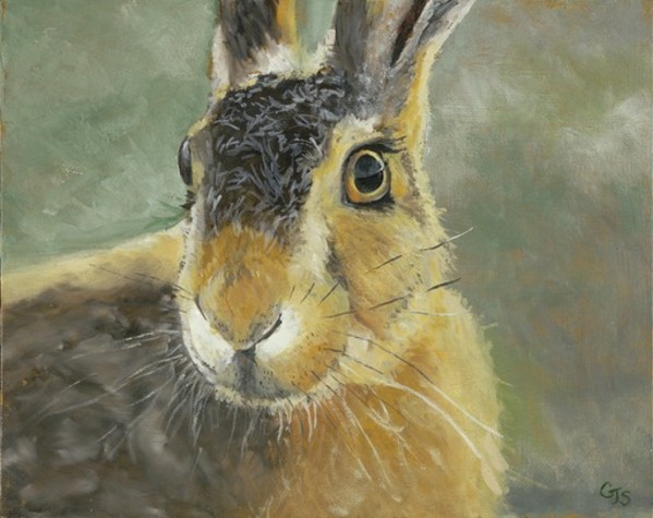 On the Alert by CJ Schwarz