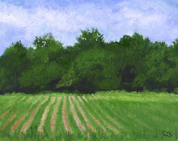 Fertile Land by CJ Schwarz