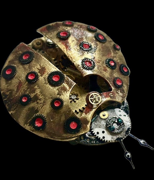 Time Ladybug Marigold by "Kaveka", Image 9.