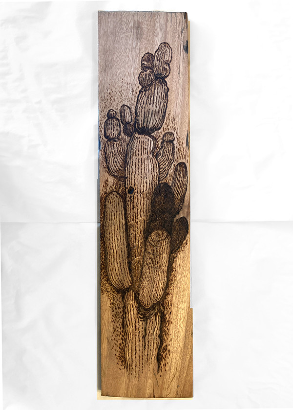 Saguaro Field by Heart of the Sun Gallery