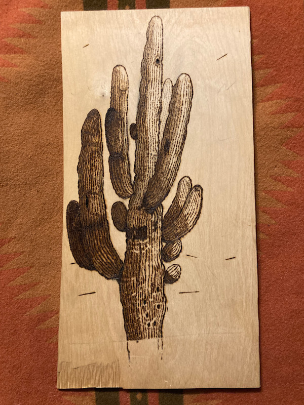 W'sup JP saguaro by Heart of the Sun Gallery