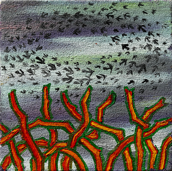 Swirling Flock by Francis Pavy