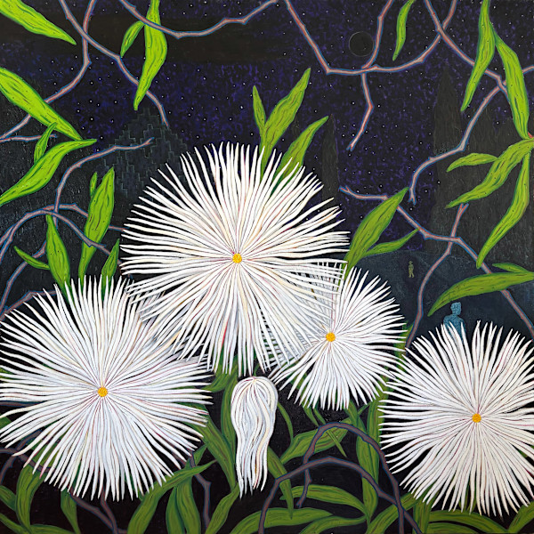 Night Blooms by Francis Pavy, Image 1.