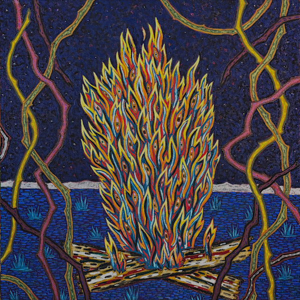 Fire eyes at night by Francis Pavy, Image 1.