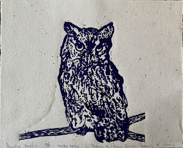 Purple Owl by Francis Pavy