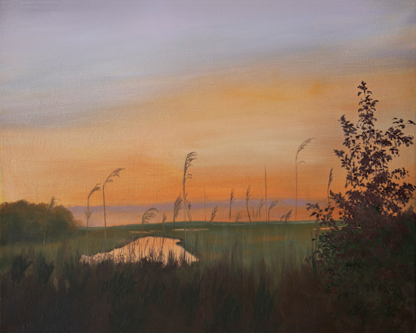 Shimmering waters by Kalika Antao