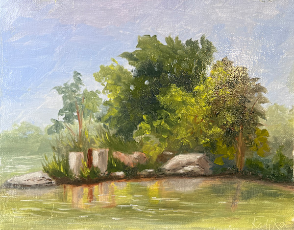 The Pond by Kalika Antao