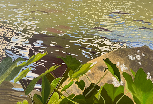 Reflections by Kalika Antao