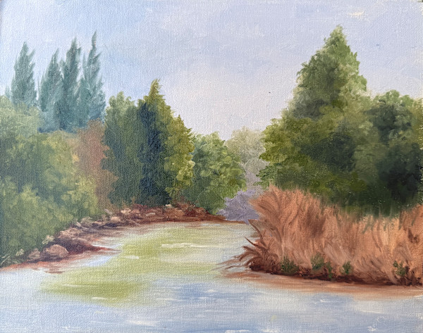 View from Turtle Bridge by Kalika Antao