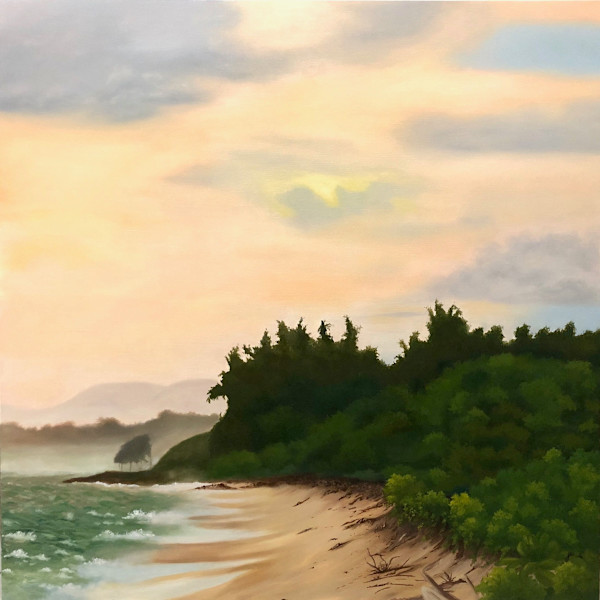 Morning Clearing by Kalika Antao