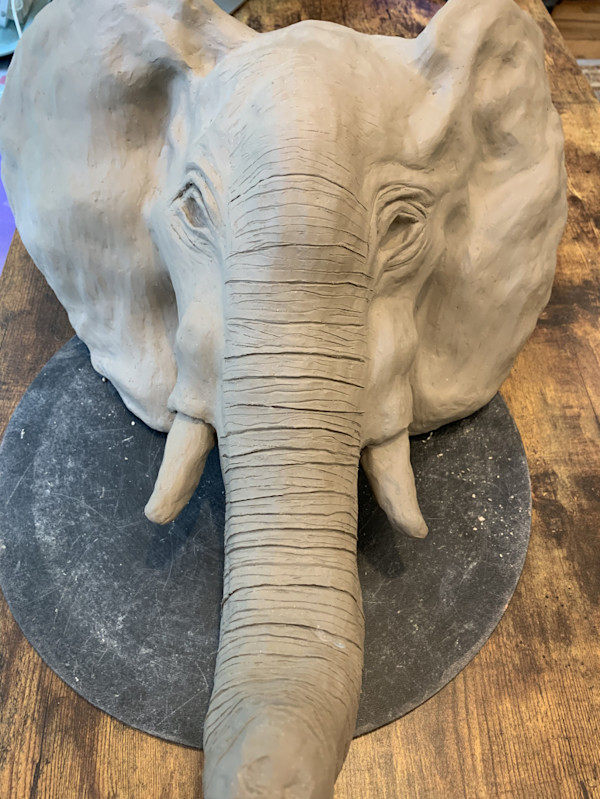 Elephant In The Room by Nell Choi - Neuromyelitis Optica, Image 1.