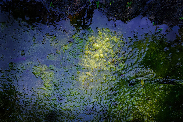 Water Reflections by Kjeld Smed