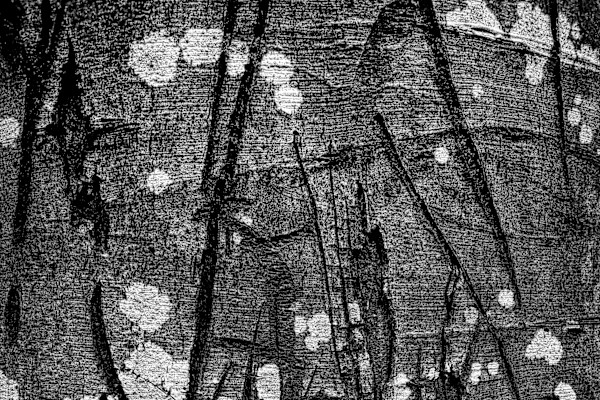 After battle 1 by Kjeld Smed