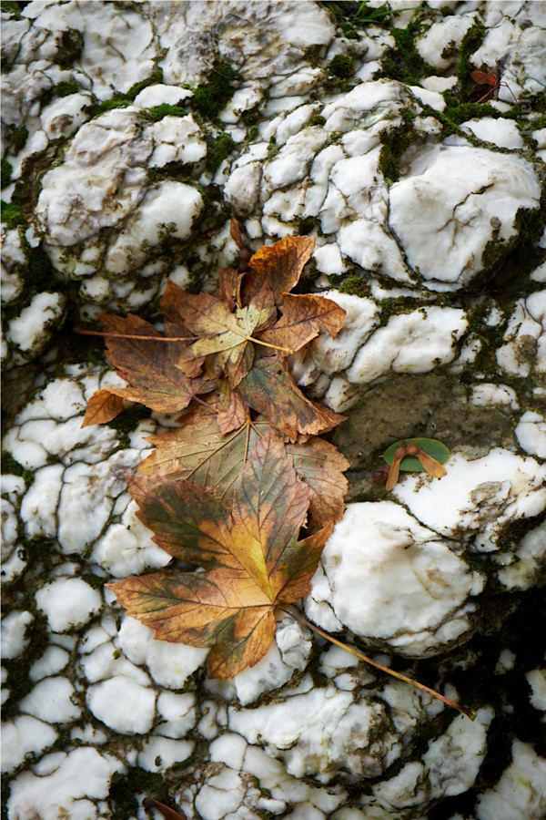 Alabast by Kjeld Smed