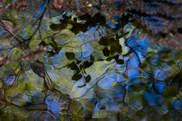 Water Reflections by Kjeld Smed