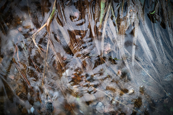 Water Reflections by Kjeld Smed