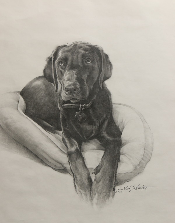 Darko by Eric Von Schmidt