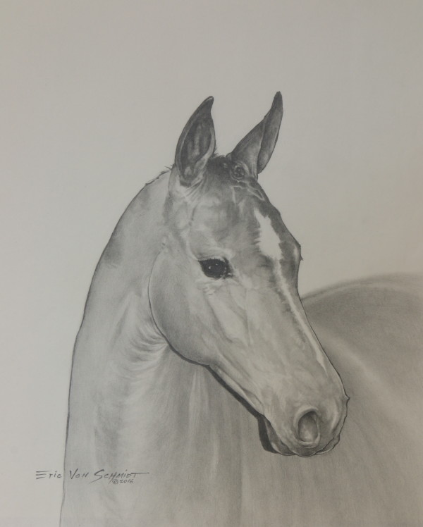 HORSE by Eric Von Schmidt