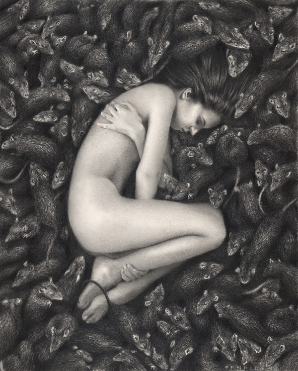 The rat bed by Penrider (Carlos Fdez)