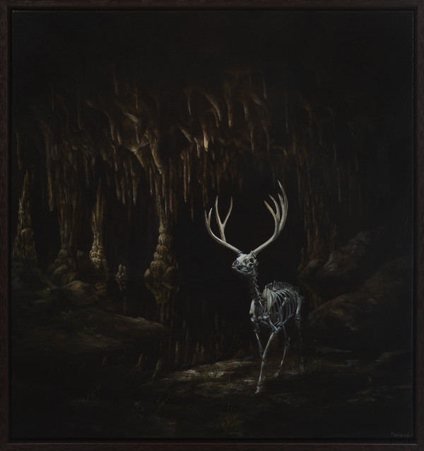 Fossils by Brian Mashburn