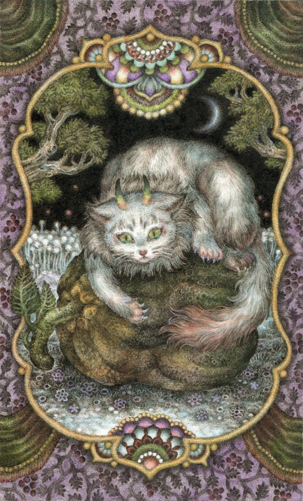 nocturnal animal by Hitomi Aoki