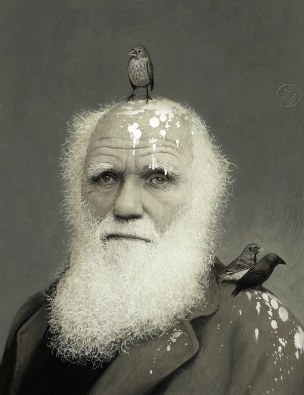Darwins Finches (Questioning Darwin) by Bill Mayer
