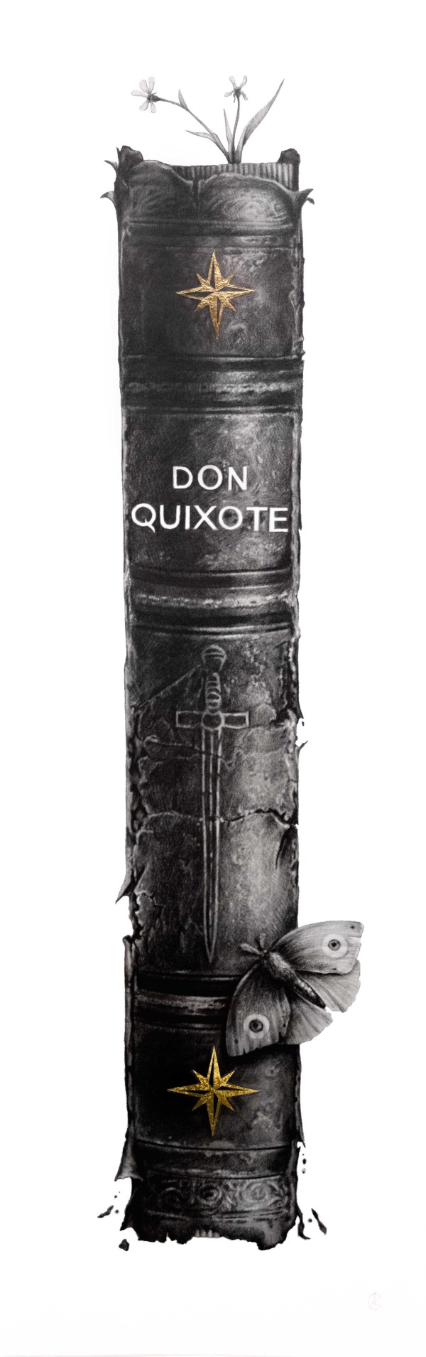 Don Quixote by Andrew K. Currey