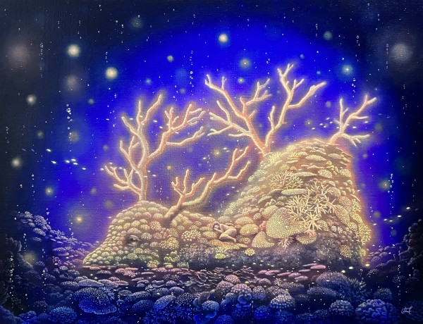 Garden of Light by Himena Kokufuta
