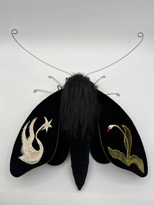 Flora Becoming Fauna by Larysa Bernhardt