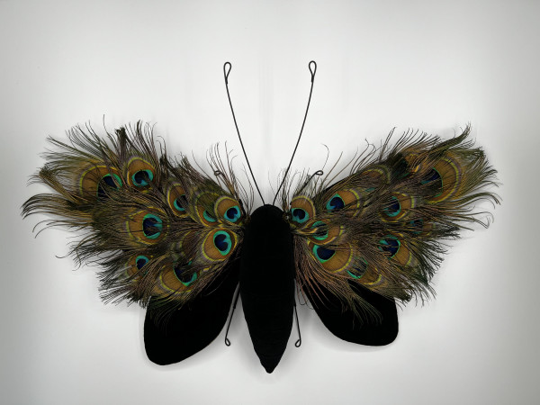 Peacock Butterfly by Larysa Bernhardt
