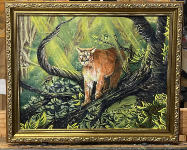 Mountain Lion by Joseph Weinreb
