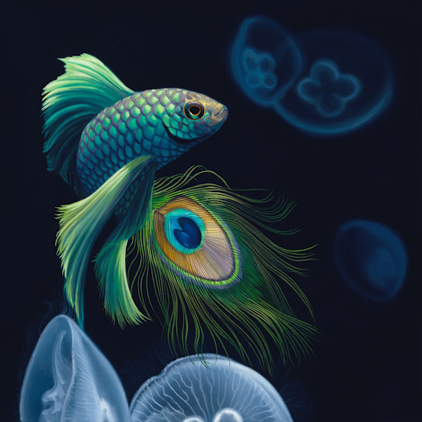 Arpeggi by Jon Ching