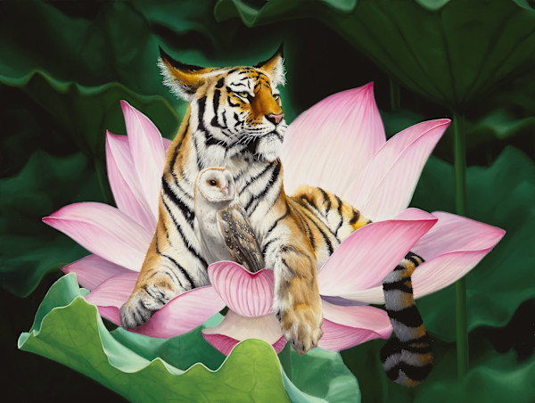 Ataraxia by Jon Ching